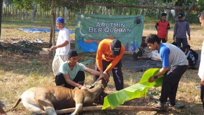 Berkurban: Kewajiban atau Anjuran Bagi yang Mampu?
